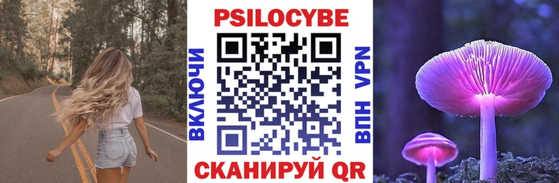 закладки  Сычёвка  Галлюциногенные грибы мухоморы 
